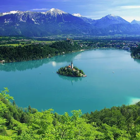 Dolzan * Bled
