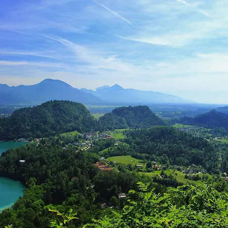 Dolzan Bled