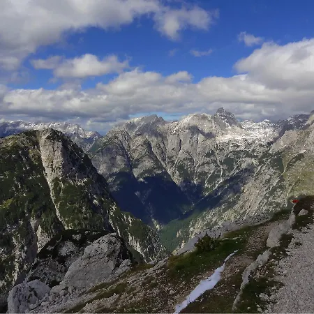 Dolzan Bled